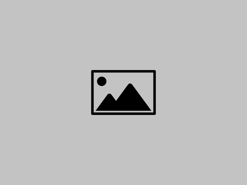 WebUp's Agency